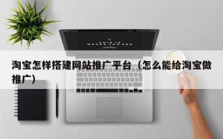 广东淘宝怎样搭建网站推广平台（怎么能给淘宝做推广）
