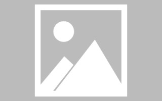 广东搭建网站招聘信息（网站制作 招聘）